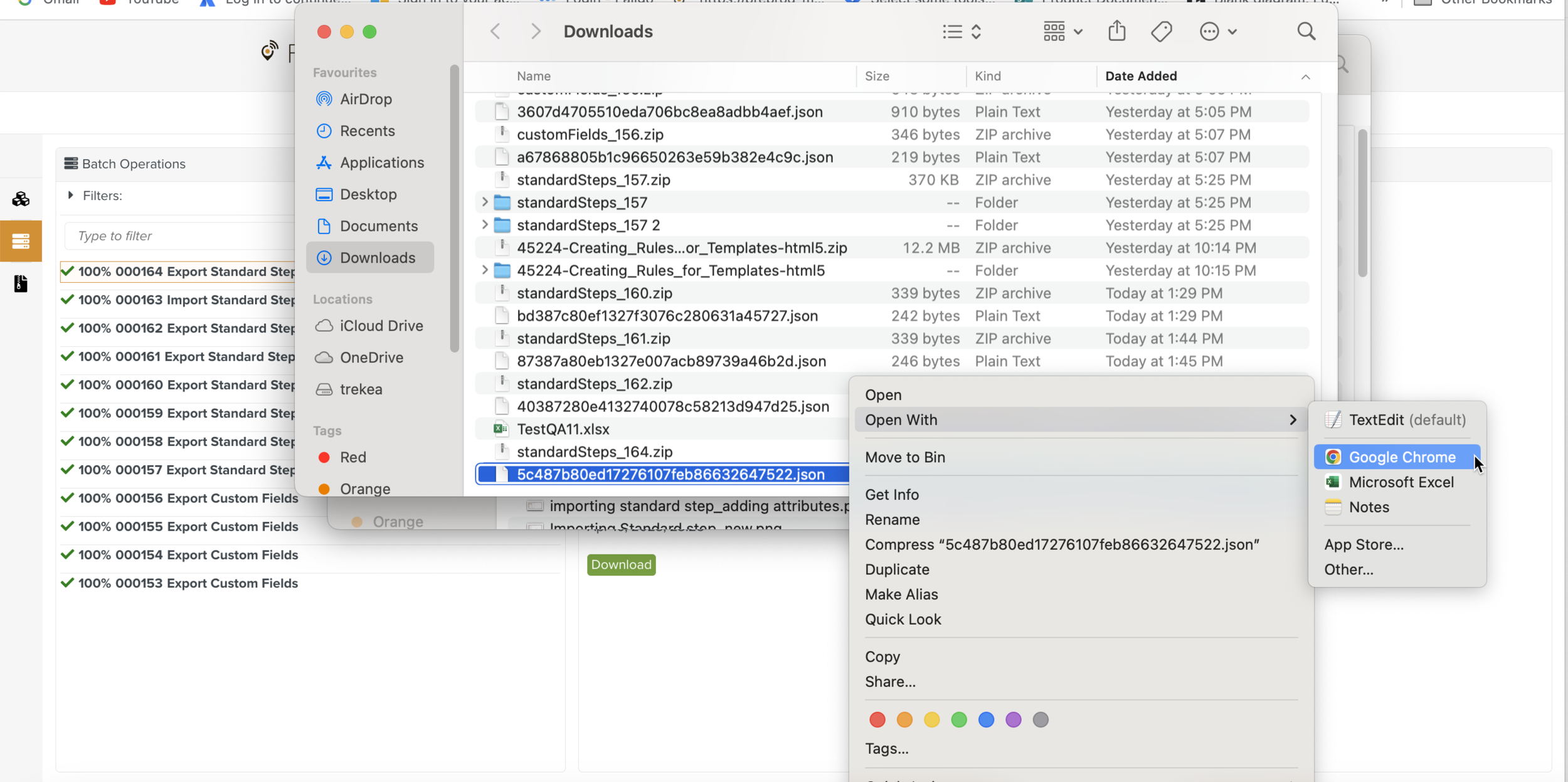 JSON_file_in_chrome.png