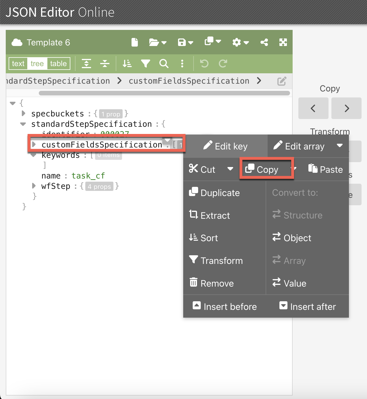 Custom_filed_specification.png