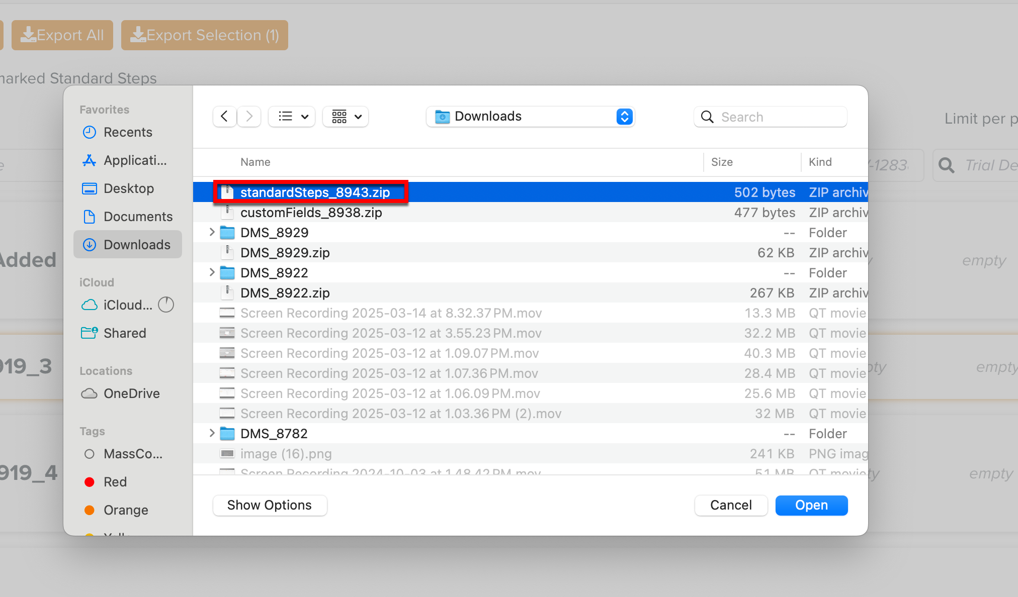 Download_file_standard_step.png